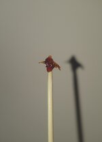20251128_161658.jpg