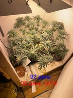 IMG_1778.jpeg