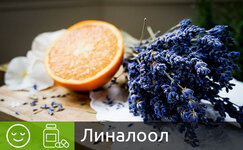 linalool__fWdVJLNKFtGfvcTE.jpg