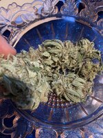 IMG_9197.jpeg