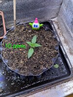 IMG_1842.jpeg