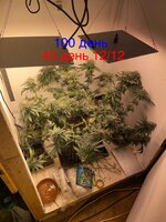 IMG_1879.jpeg