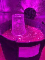 IMG_1875.jpeg
