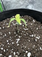 IMG_4640.jpeg