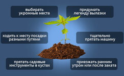 Sovety-po-obespecheniyu-bezopasnosti__B3SCM9uBVukWkNI1.jpg