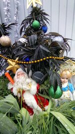 IMG_20251215_131345.jpg