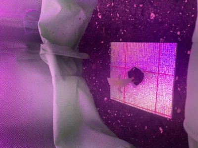 A90E19DC-7978-4736-B7CC-5DDCF1F7679B.jpeg