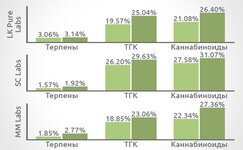 avtoprolechka-kannabisa__tIkx7z66BJETyfOH.jpg