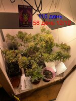 IMG_2148.jpeg