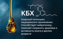 Kannabihromen__hnp8xbUgP0OcOtW4.jpg