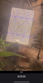 IMG_3599.jpeg