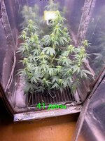 IMG_2304.jpeg