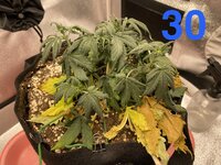 IMG_2057.jpeg