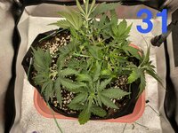IMG_2059.jpeg