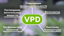 1768817699736.png 1768817699736.png