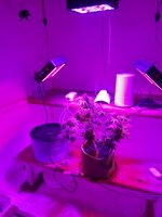 20260127_110027.jpg 20260127_110027.jpg
