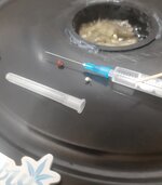 20260129_054300.jpg 20260129_054300.jpg