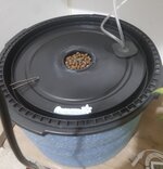 20260129_062639.jpg 20260129_062639.jpg