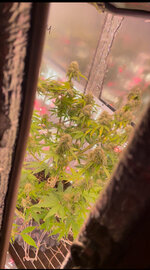 IMG_2831.jpeg