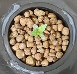 20250613_211020.jpg 20250613_211020.jpg