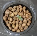 20250613_211305.jpg 20250613_211305.jpg