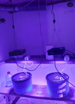 20260131_060727.jpg 20260131_060727.jpg