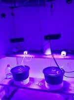 20260131_065451.jpg 20260131_065451.jpg