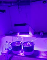 20260131_072137.jpg 20260131_072137.jpg