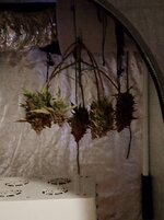 IMG_20260131_061138.jpg