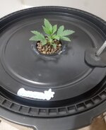 20260201_060416.jpg 20260201_060416.jpg