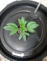 20260201_062511.jpg 20260201_062511.jpg