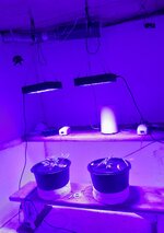 20260201_073048.jpg 20260201_073048.jpg