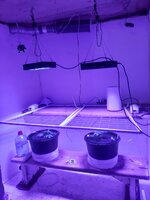 20260202_062449.jpg 20260202_062449.jpg