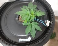 20260202_064741.jpg 20260202_064741.jpg