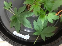 20260202_085628.jpg 20260202_085628.jpg