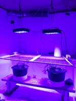 20260203_052929.jpg 20260203_052929.jpg