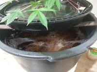 20260203_115743.jpg 20260203_115743.jpg
