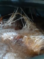 20260203_120859.jpg 20260203_120859.jpg