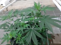20260203_141818.jpg 20260203_141818.jpg