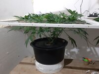 20260204_062248.jpg 20260204_062248.jpg