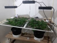 20260205_063217.jpg 20260205_063217.jpg