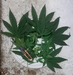 20260205_063731.jpg 20260205_063731.jpg