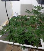 20260206_073514.jpg 20260206_073514.jpg
