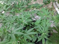 20260206_073529.jpg 20260206_073529.jpg