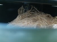 20260207_063718.jpg 20260207_063718.jpg