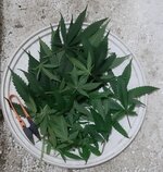 20260207_073357.jpg 20260207_073357.jpg