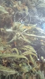 20260207_185817.jpg