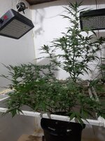 20260208_070126.jpg