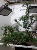 20260208_103001.jpg