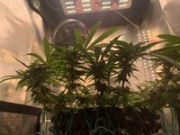 IMG_9864.jpeg